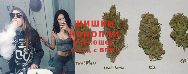 таблы Новозыбков