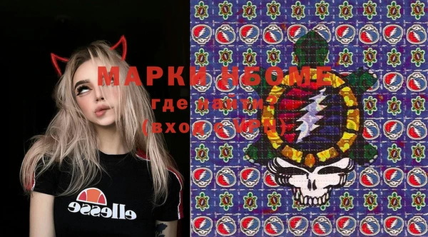 таблы Новозыбков