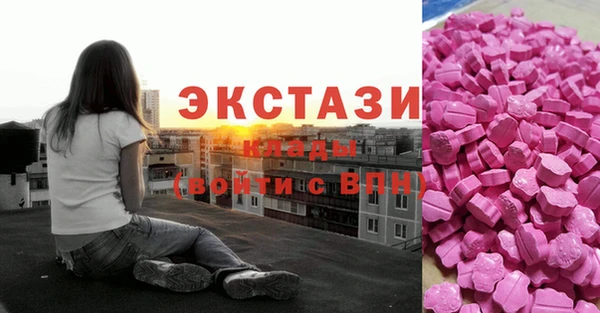 соль ск Новодвинск